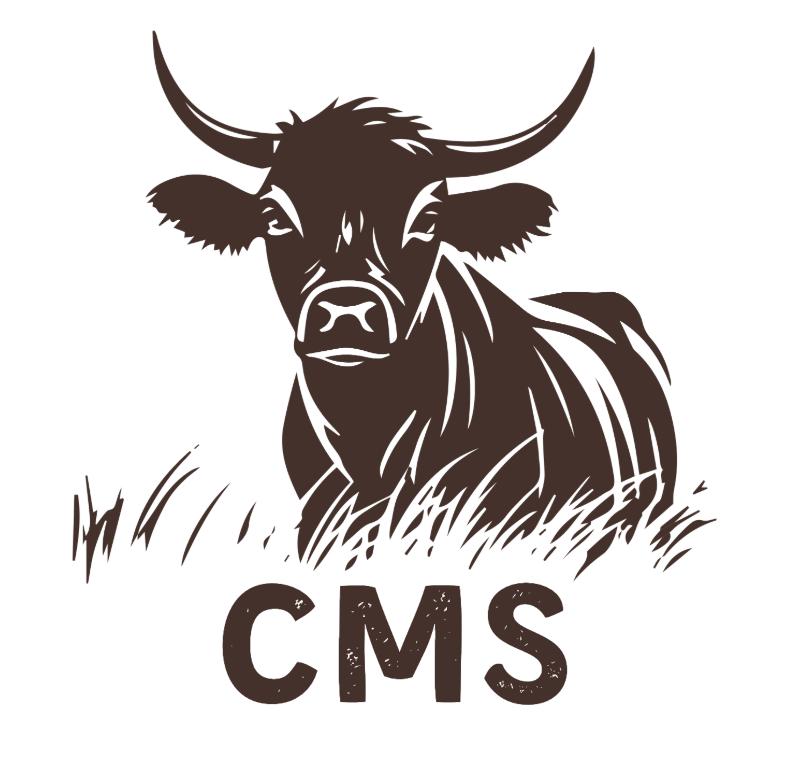 CMS Logo