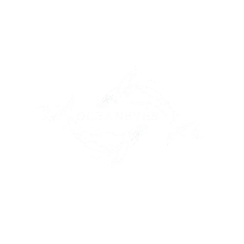 OceanEyes Logo