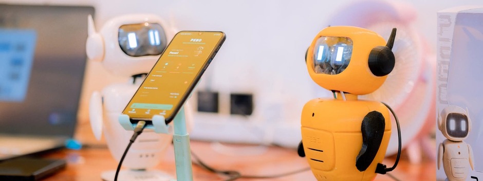 P E BO Desk Companion