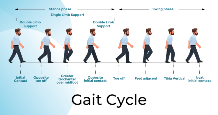 gait-cycle-image