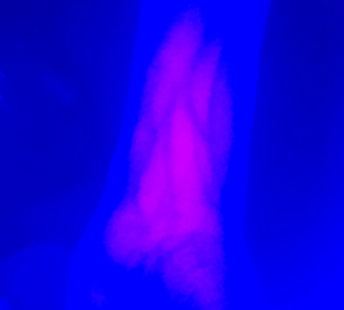 Raw Image 2