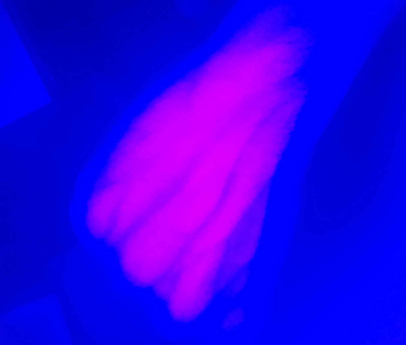 Raw Image 3