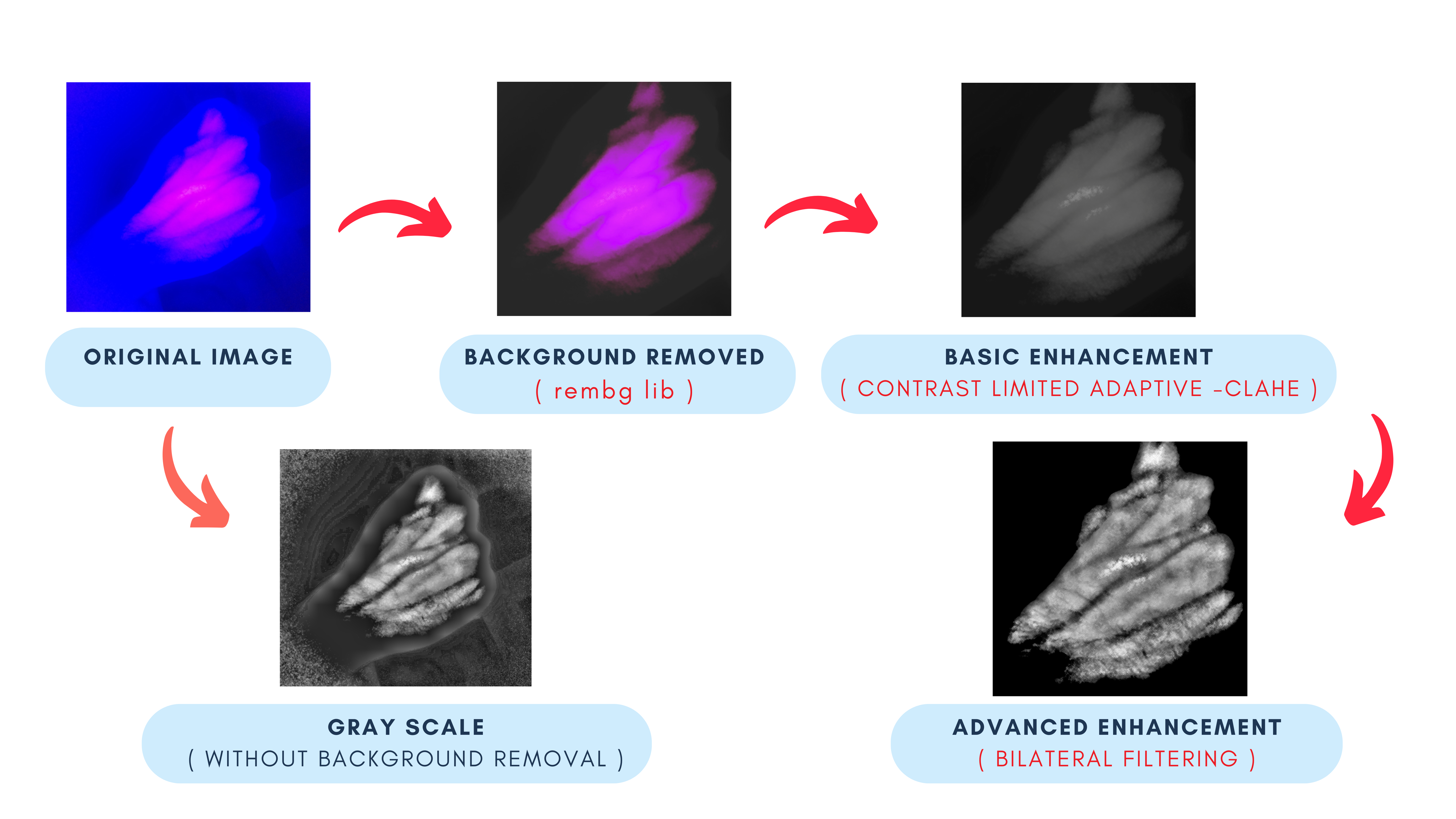 NIR Vein Imaging Method