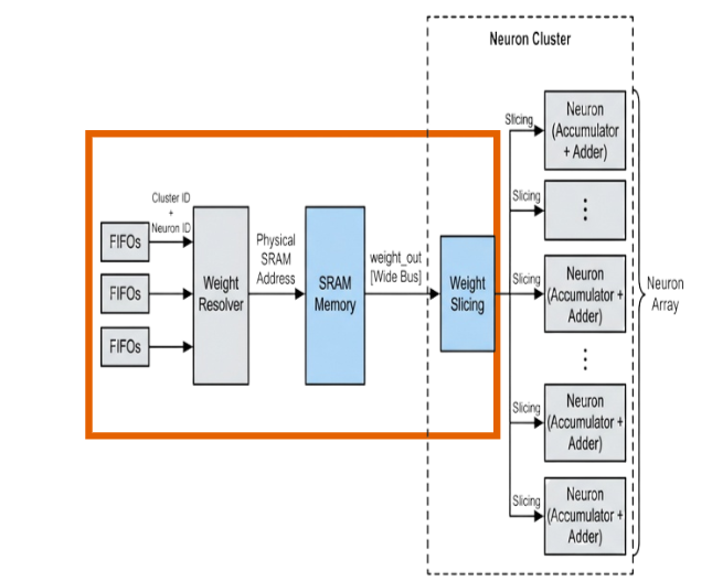Synaptic Weight Memory Isolation