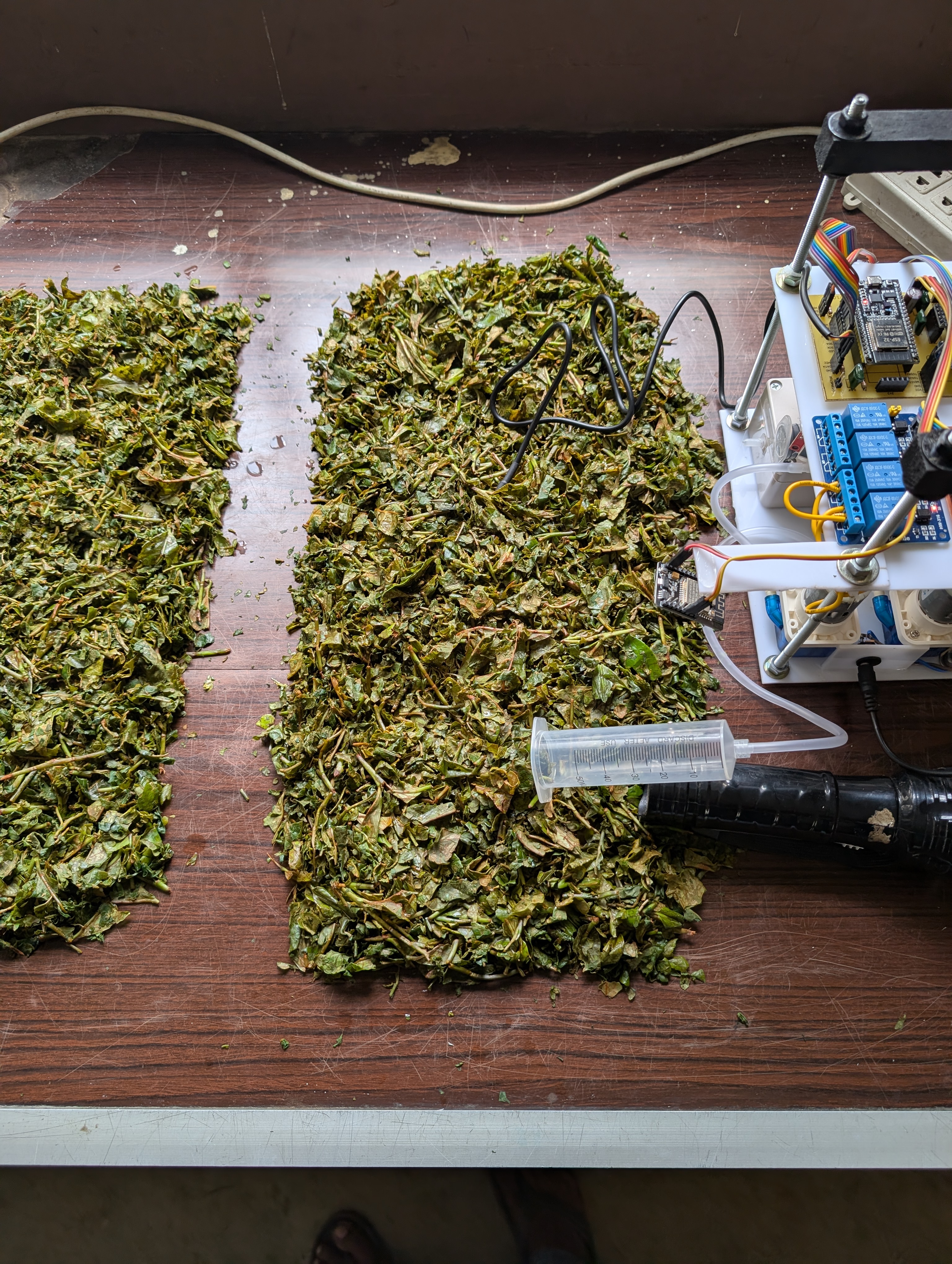 The sensor probe and control prototype monitoring a prepared tea-leaf bed