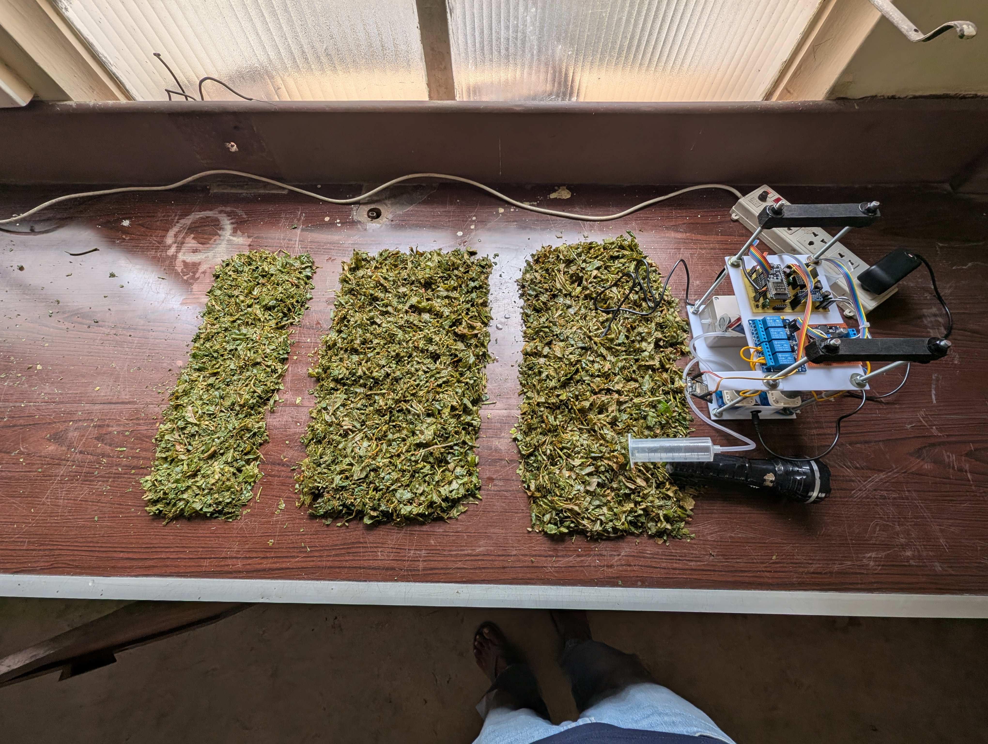 Three prepared tea-leaf batches arranged beside the monitoring prototype for comparison