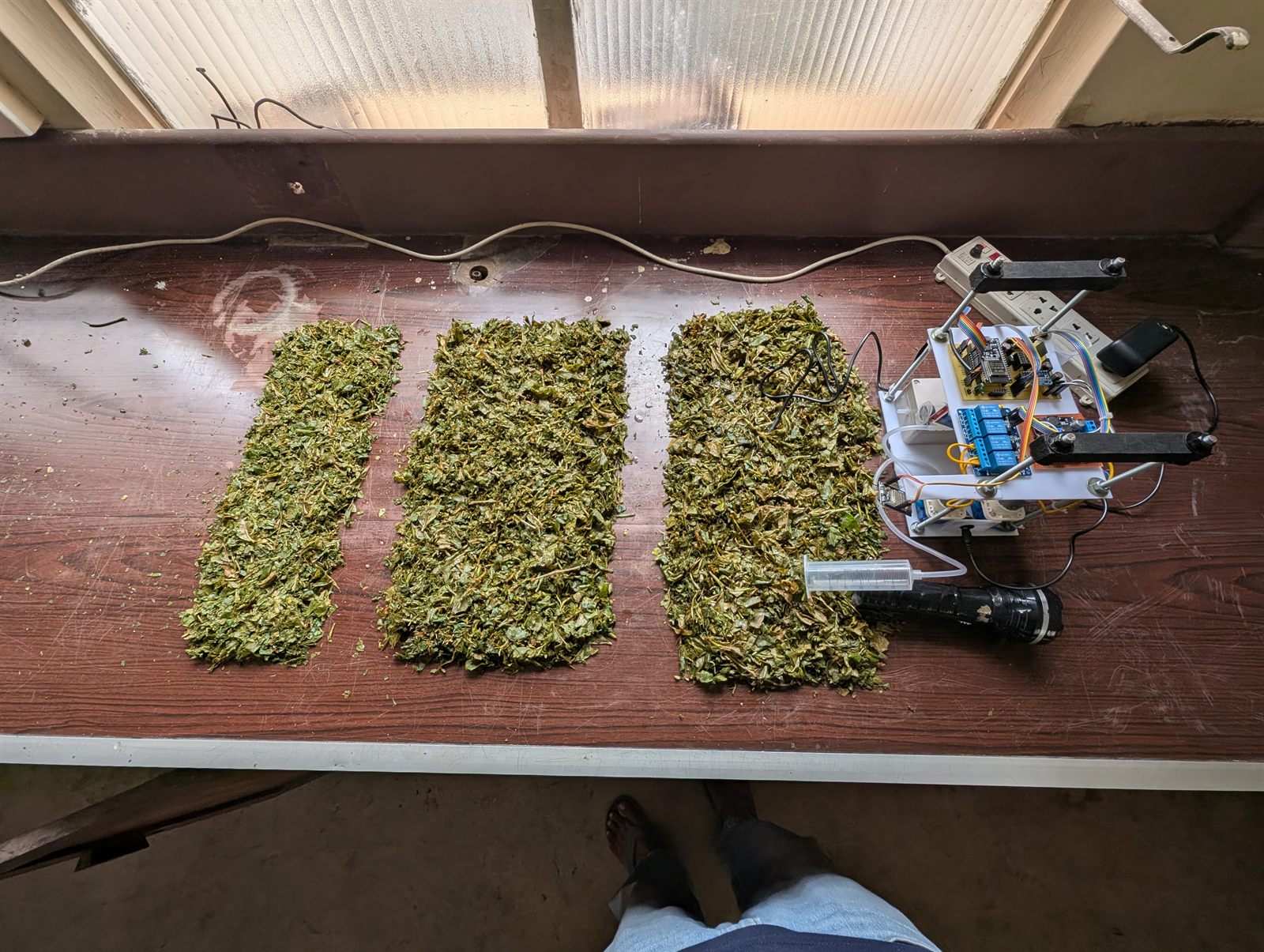 Three prepared tea-leaf batches arranged beside the monitoring prototype for comparison